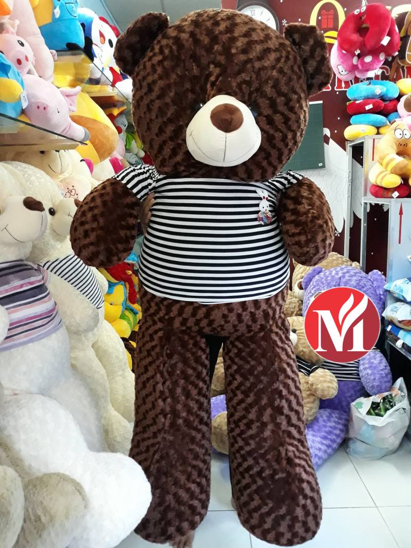 Gấu Teddy cao 1m6, món quà to lớn và ấm áp cho người yêu